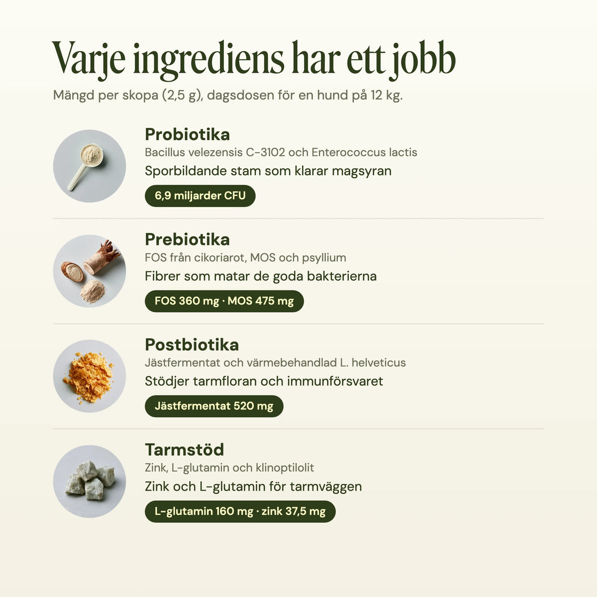 Varje ingrediens har ett jobb: probiotika, prebiotika, postbiotika och tarmstöd, med mängd per skopa.