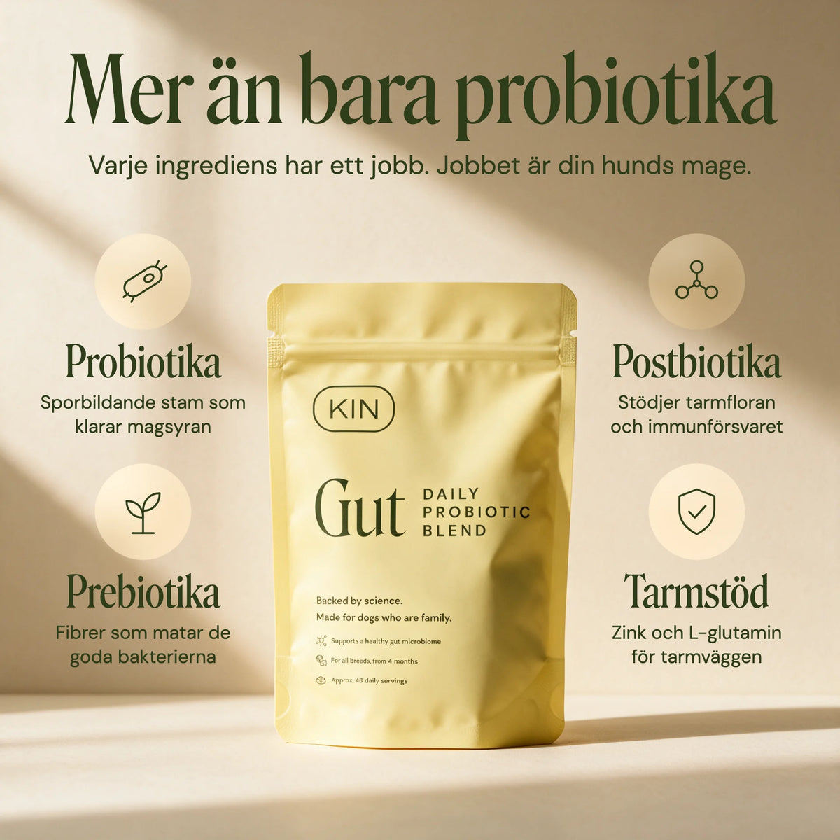 KIN GUT: mer än bara probiotika. Probiotika, prebiotika, postbiotika och tarmstöd i ett dagligt pulver.
