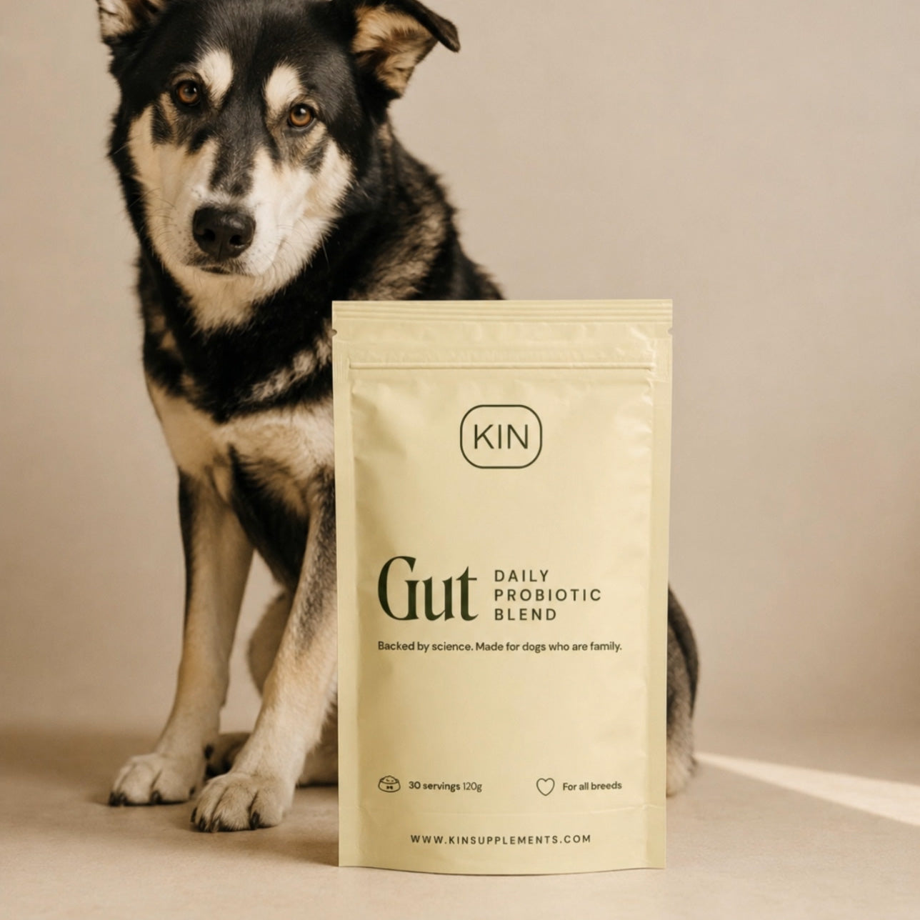 GUT. Probiotic powder for dogs.
