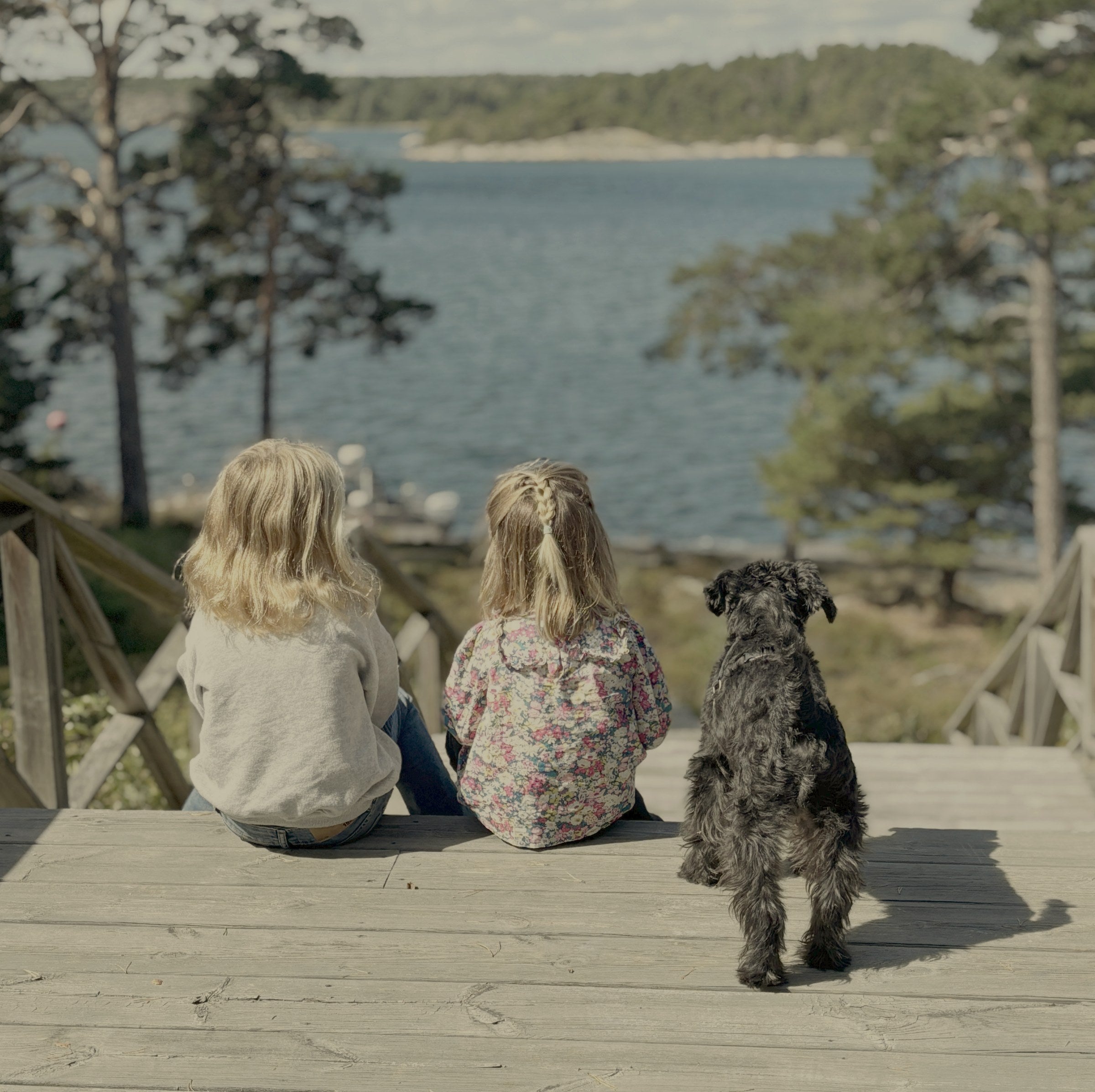 Children and Nelson looking out over the water