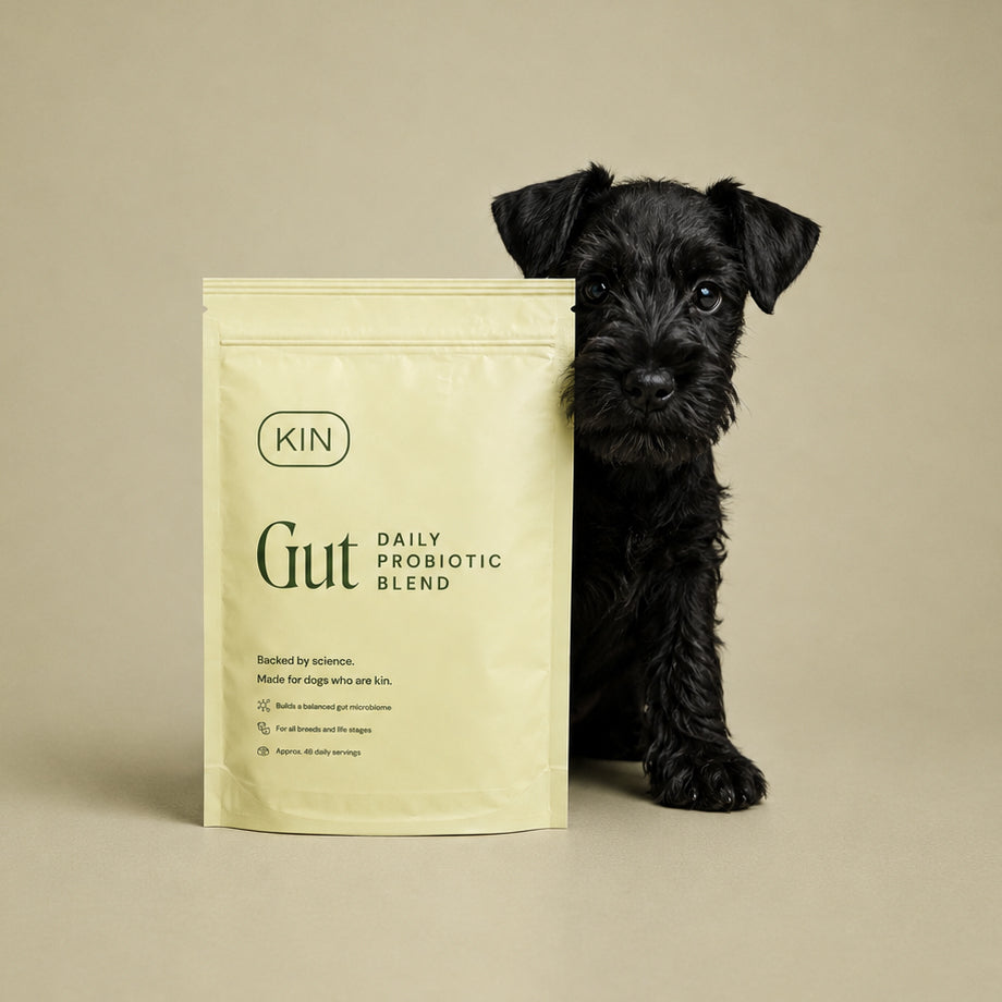 Kin GUT probiotic powder pouch